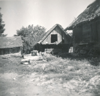 eika image